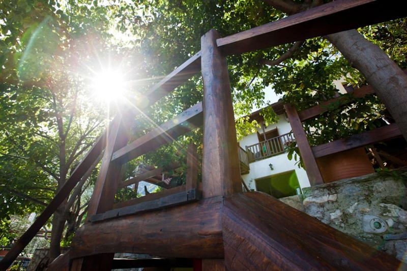 Victoria'S Guesthouse 达默查理 外观 照片